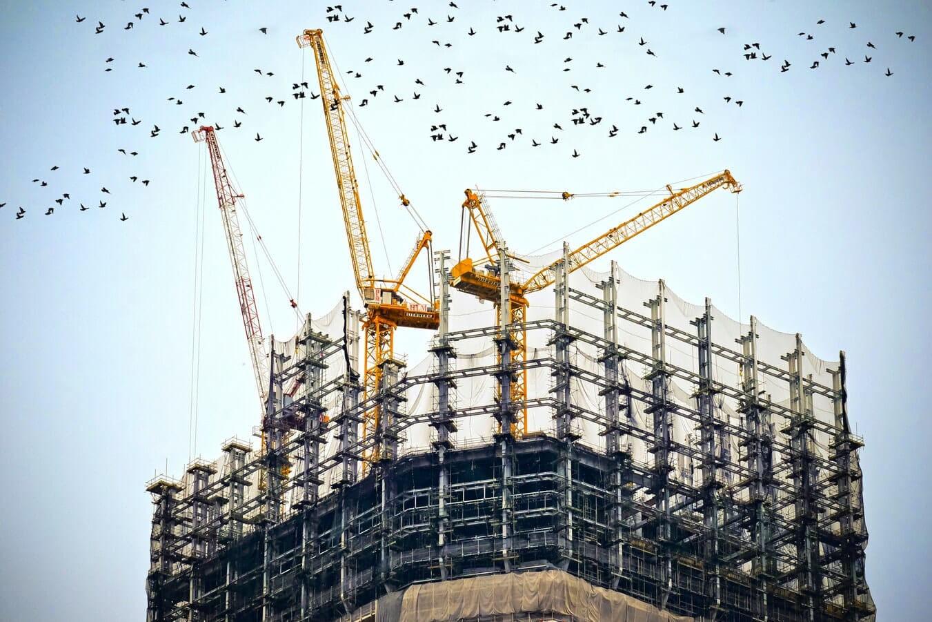 Cranes on a construction site with birds flying around.