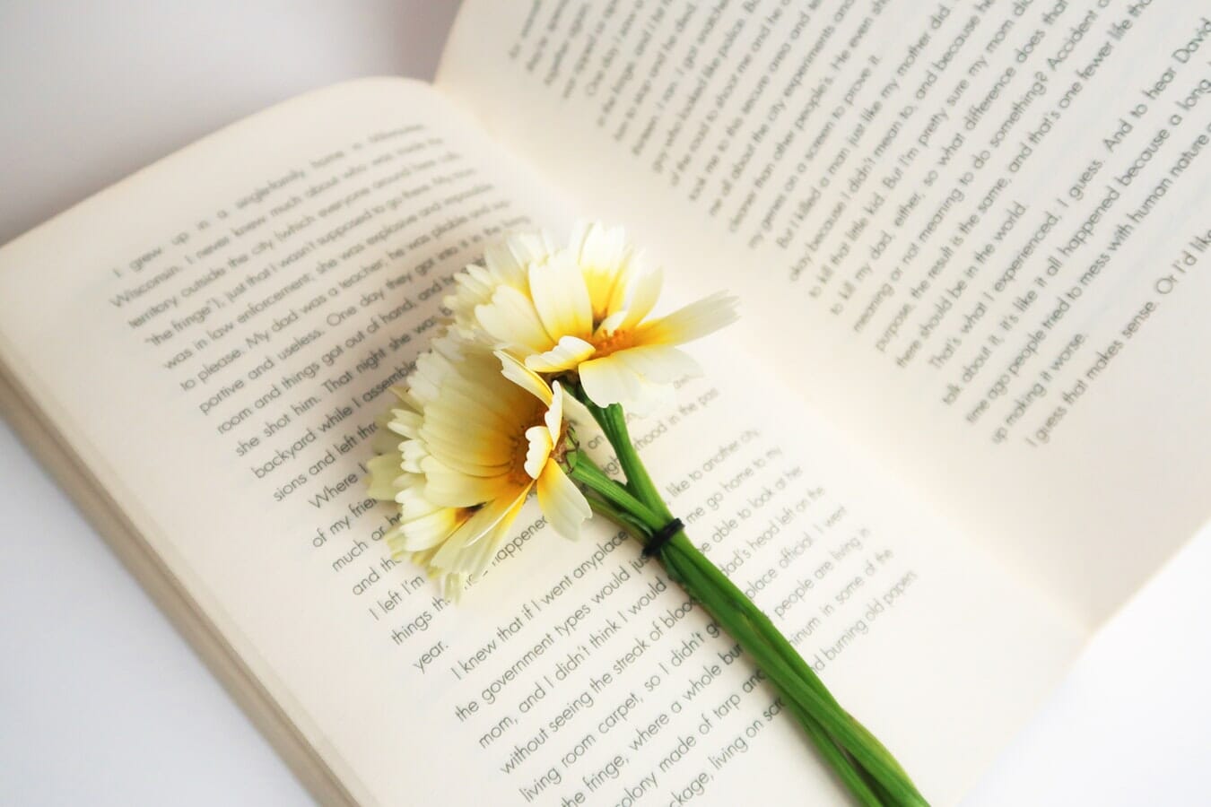 A flower sits on top of an open book.